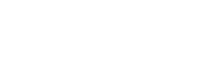 VIDA Logo